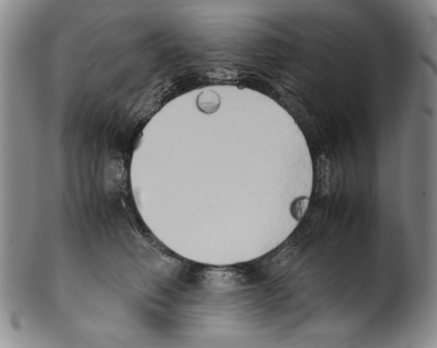 X0000100760614200807171343