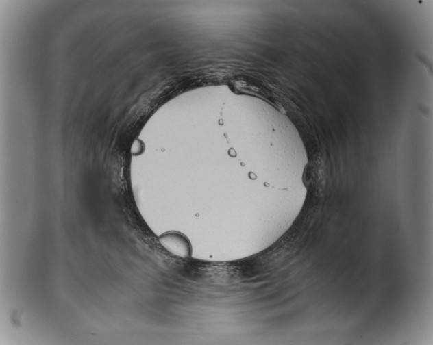 X0000100760615200807171343