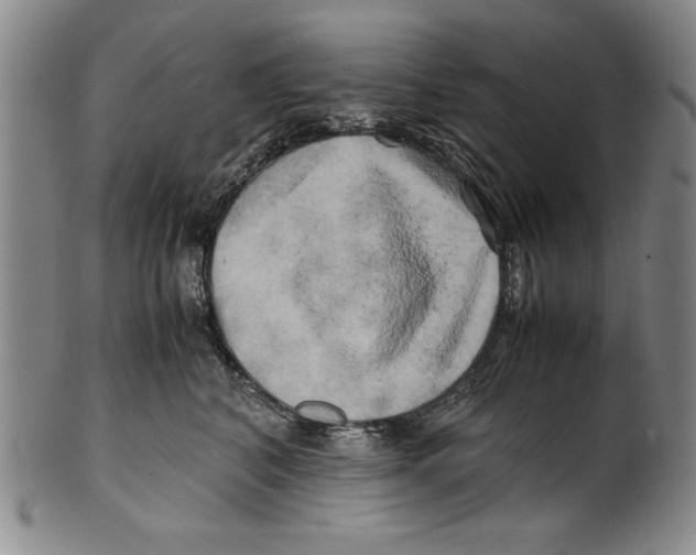 X0000100760616200807171343