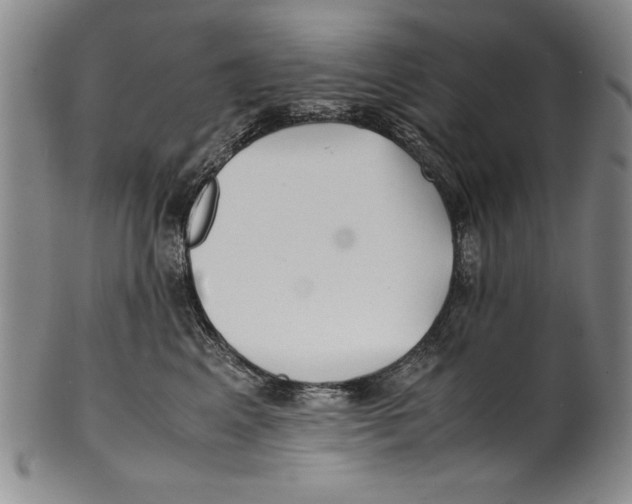 X0000100760617200807171343
