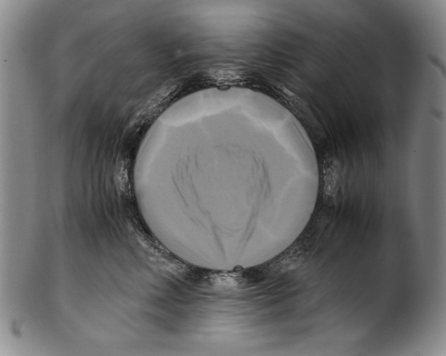 X0000100760618200807171343