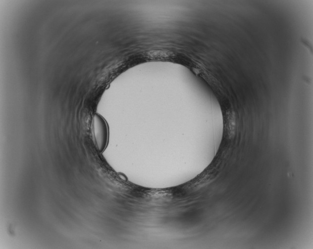 X0000100760619200807171343