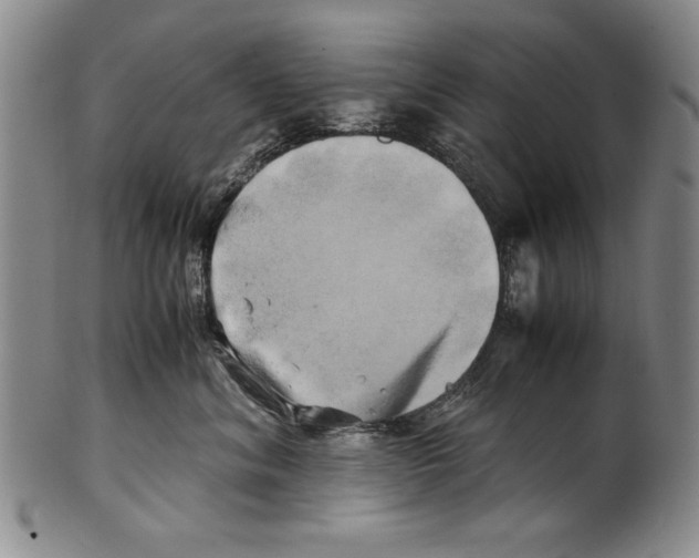 X0000100760620200807171343