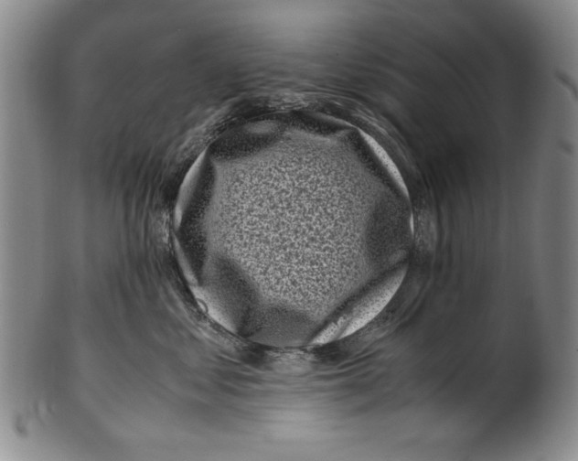X0000100760621200807171343