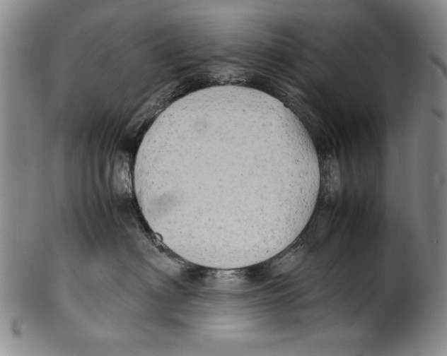 X0000100760622200807171343
