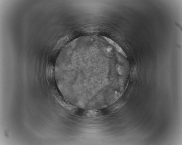 X0000100760623200807171343