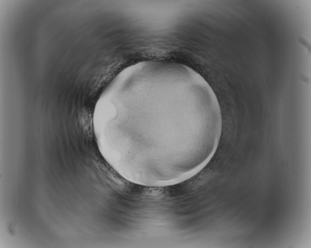 X0000100760624200807171343