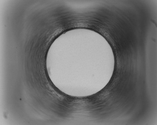 X0000100760625200807171342