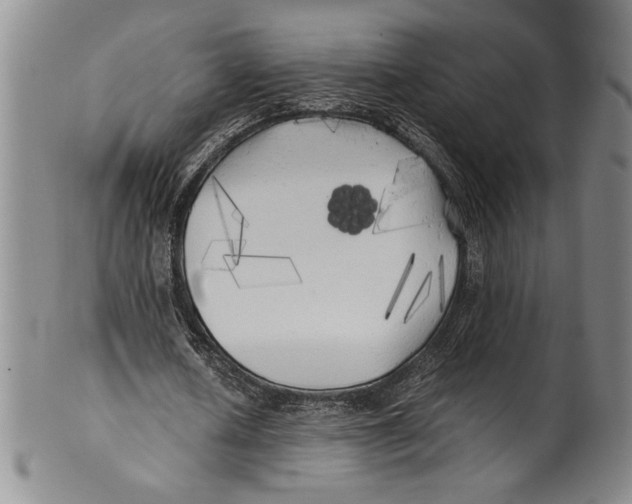 X0000100760626200807171342