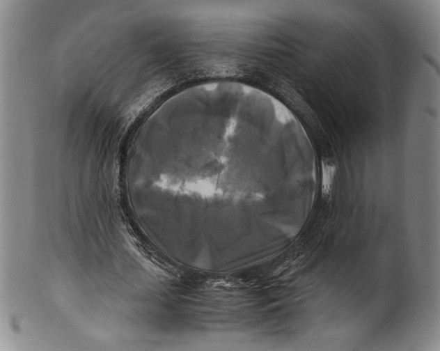 X0000100760627200807171342
