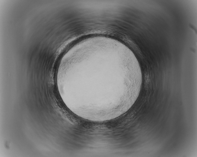 X0000100760628200807171342