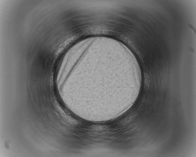 X0000100760629200807171342