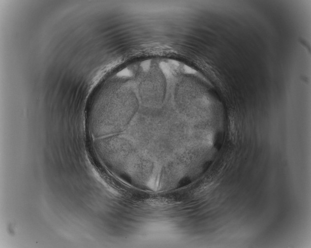 X0000100760630200807171342