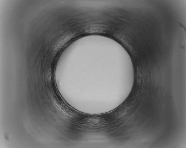 X0000100760631200807171342