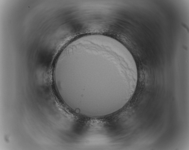 X0000100760632200807171342