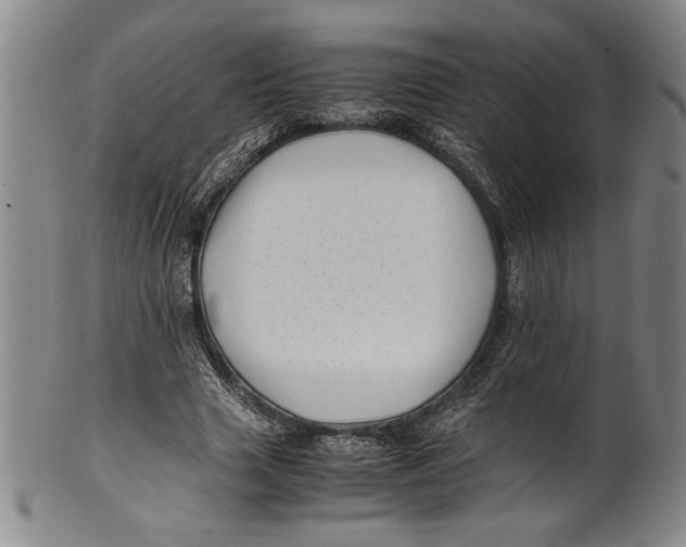 X0000100760633200807171342