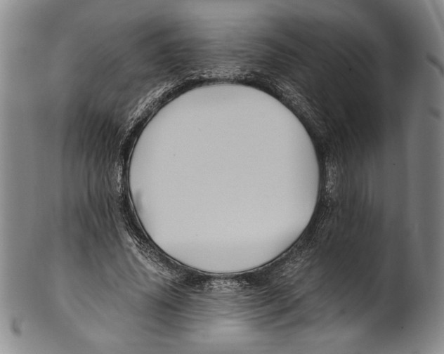 X0000100760636200807171343