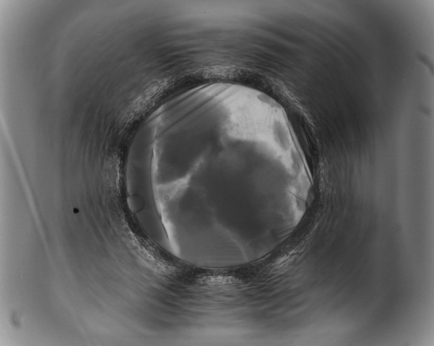 X0000100760637200807171343