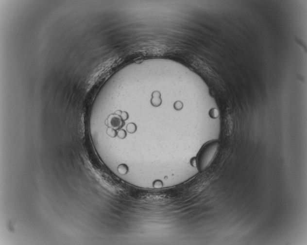 X0000100760638200807171343