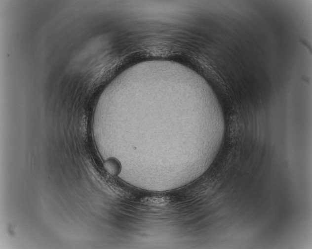 X0000100760639200807171343