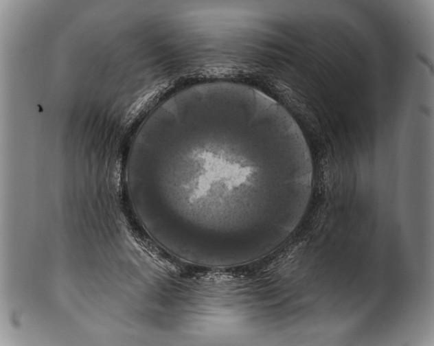 X0000100760640200807171343