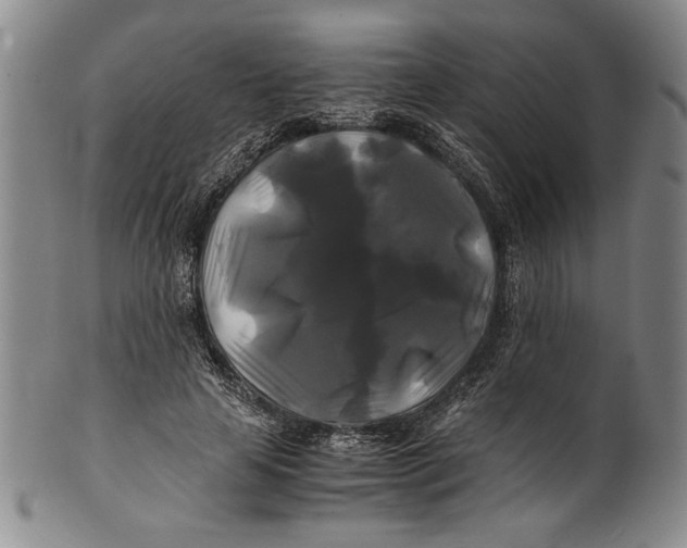 X0000100760641200807171343