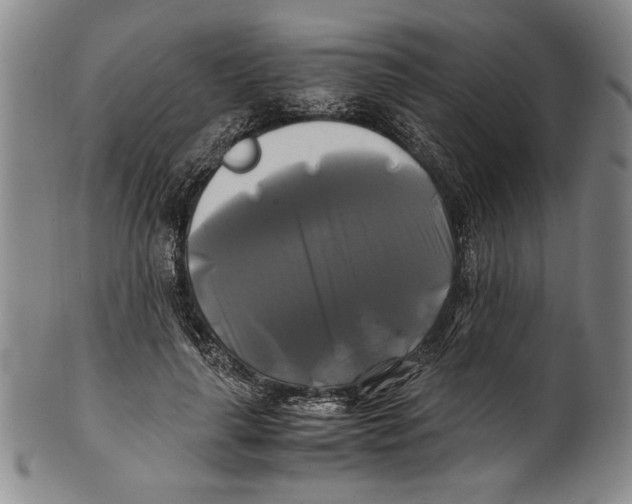 X0000100760643200807171343