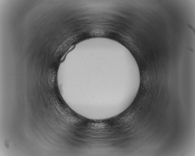 X0000100760645200807171343