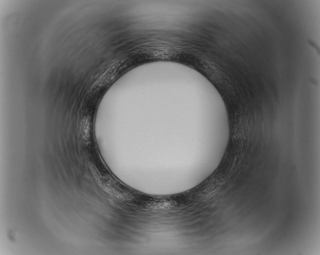X0000100760646200807171343