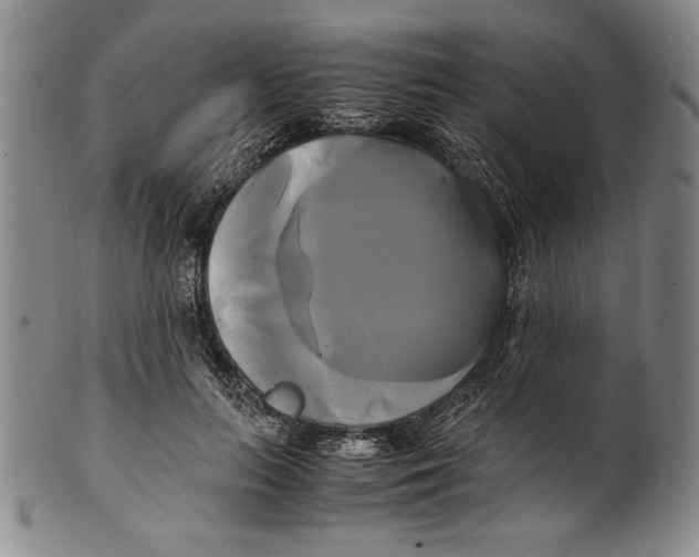 X0000100760647200807171343