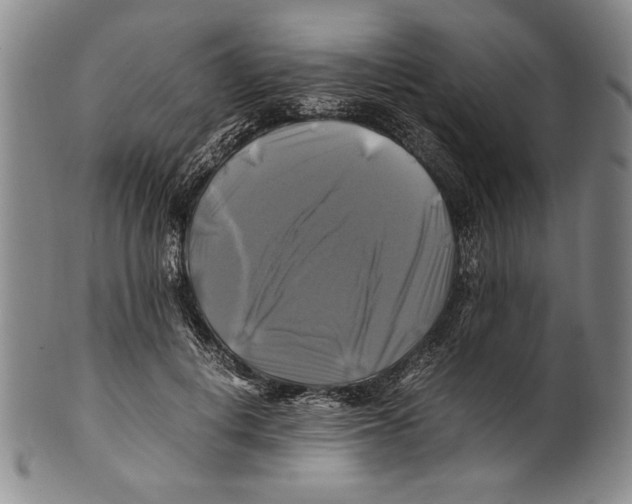 X0000100760648200807171343
