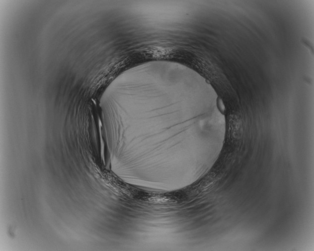 X0000100760650200807171343