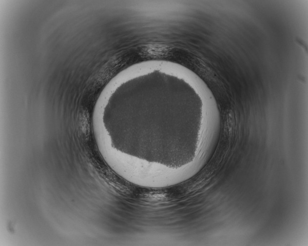 X0000100760651200807171343