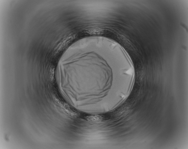 X0000100760652200807171343