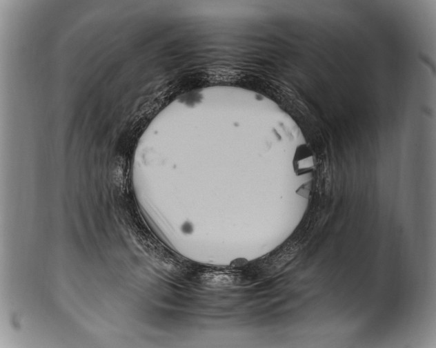 X0000100760655200807171343