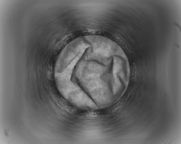 X0000100760656200807171343