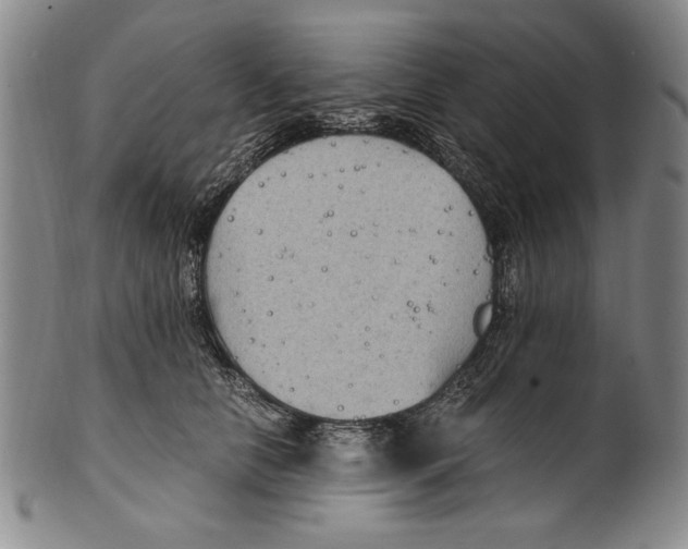 X0000100760658200807171343