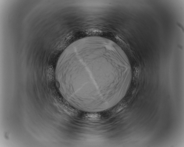 X0000100760659200807171343