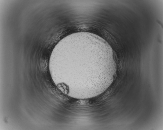 X0000100760660200807171343