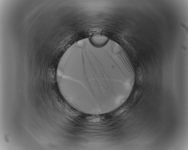 X0000100760661200807171343