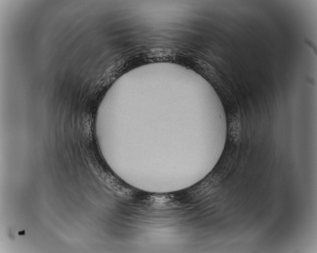 X0000100760662200807171343