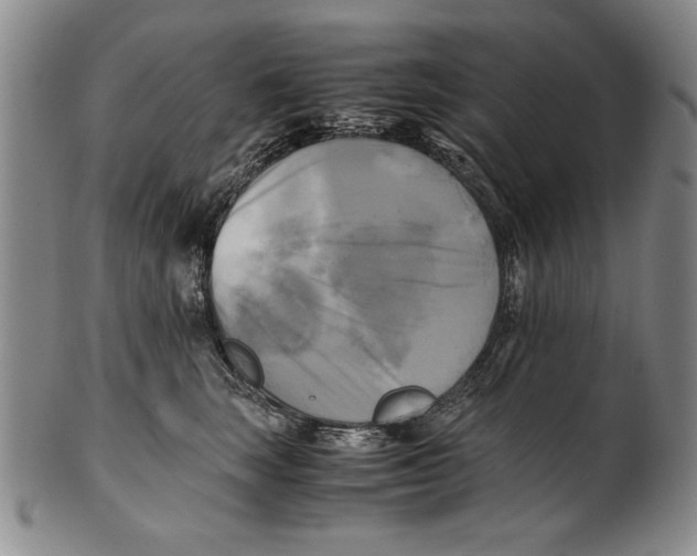 X0000100760663200807171343