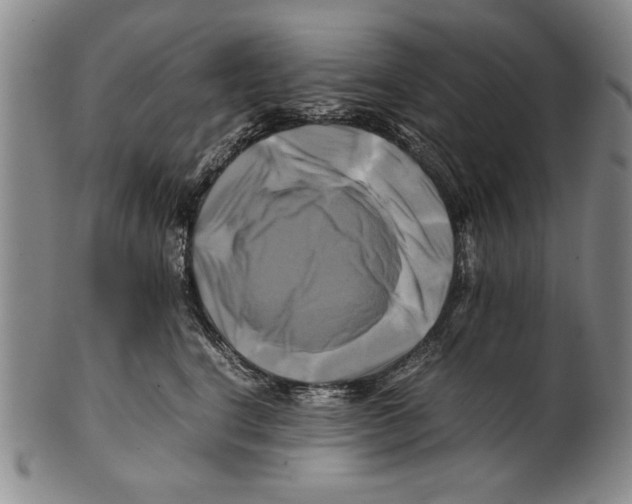 X0000100760664200807171343