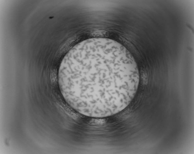 X0000100760665200807171343