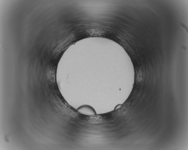 X0000100760666200807171343