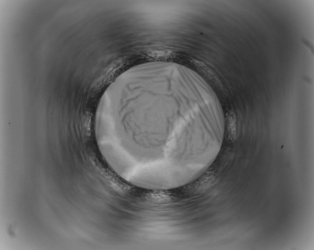 X0000100760668200807171343