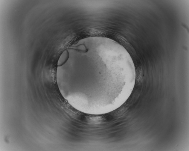 X0000100760669200807171343