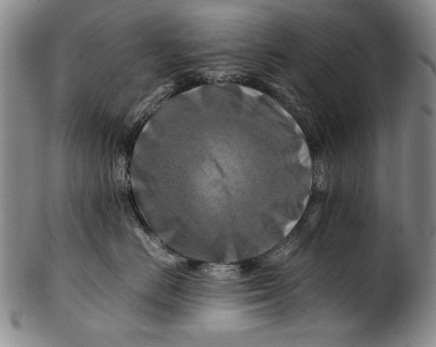 X0000100760670200807171343