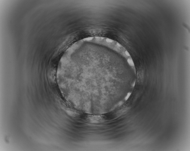 X0000100760671200807171343
