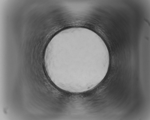 X0000100760673200807171342